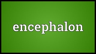 Encephalon Meaning [upl. by Ahsenauj242]