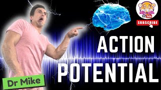 Action Potential  Graded Potentials [upl. by Rad942]