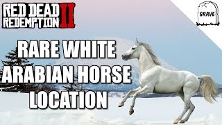 Rare White Arabian Horse Location Red Dead Redemption 2 [upl. by Mallissa]