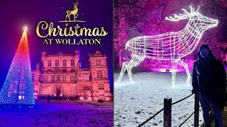 Christmas At Wollaton Hall In Nottingham  Magical Festive Light Trail [upl. by Kissee]