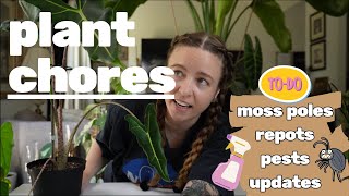 Plant chores  Repotting pests amp updates [upl. by Nabla]