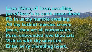 Love Divine All Loves Excelling Tune Blaenwern  3 double vv with lyrics for congregations [upl. by Arelus247]