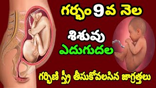 9th Month of Pregnancy Baby Growth amp Mother Care  Pregnancy 9th Month Symptoms  3rd Trimester [upl. by Eelsew40]