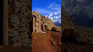 Animal Stone Shelters  Gilgit Baltistan  shorts shelter stonehouse gilgit nomadic nature [upl. by Mclain]