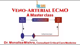 Venoarterial ECMO VA ECMO  Indications ventilator management Lifesaving cardiac support [upl. by Anivlis]