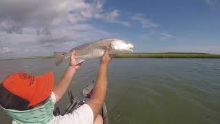 Swansboro NC Kayak fishing for red drum [upl. by Setsero]