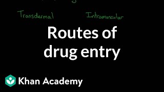 Routes of drug entry  Processing the Environment  MCAT  Khan Academy [upl. by Oliy]