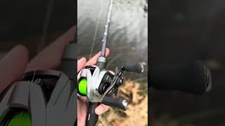 Daiwa Zillion topwaterfishing urbanfishing [upl. by Mharba84]