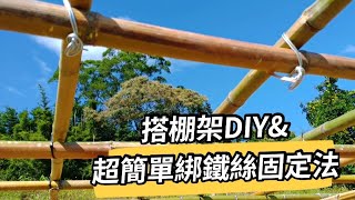 搭棚架DIY 超簡單鐵絲固定法分享 富總農園 [upl. by Elatsyrk881]