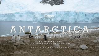 Gentoo Penguin Colony in Neko Harbour Antarctica 10 minutes of a fixed relaxing landscape view 4K [upl. by Maurili]