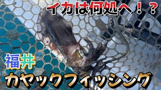 イカは何処に！？福井県常神半島 カヤックフィッシング [upl. by Mandy]