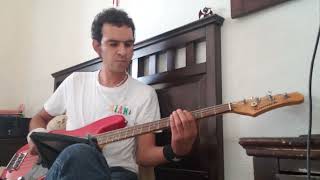 no es serio este cementerio  mecano  bass cover [upl. by Irmgard112]