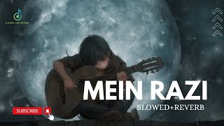 Mein Razi  Grey  Heart touching SlowedReverb New Songs 2024 [upl. by Ettenwad]