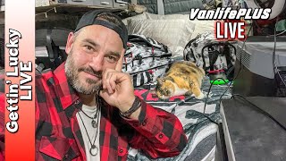 VanlifePLUS Impromptu Halloween LIVE STREAM [upl. by Wolpert]