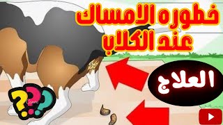 الامساك عند الكلاب وطريقه علاجه [upl. by Aisha]