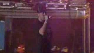 Hilltop Hoods  Nosebleed Section live [upl. by Punak]