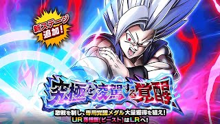 DOKKAN IS SAVED LR STR BEAST GOHAN DOKKAN BOSS BATTLE DBZ Dokkan Battle [upl. by Talbot]