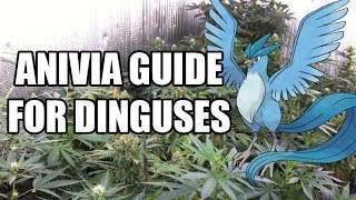 ANIVIA GUIDE FOR DINGUSES [upl. by Enelav860]