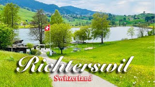 Dreamland Switzerland 4K  Cloudy day in Richterswil  municipality in switzerland [upl. by Frederik]