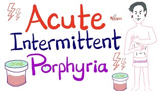 Acute Intermittent Porphyria  Disorders of Heme Synthesis  Biochemistry amp Hematology [upl. by Christianson90]