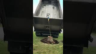 How to Remove the End Part of the Root of a Tree 😳 [upl. by Novick]