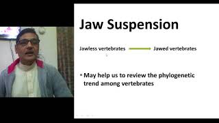 Jaw Suspensorium Structural and Evolutionary Trend in Vertebrates [upl. by Ahsemot]