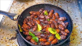 Amazing food  Fried Cockchafer Bug  Awesome Thai Food Recipes   Asian food [upl. by Lotson]