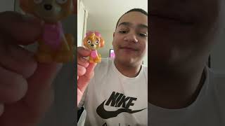 TODAYS VIDEO WE ARE OPENING PLAYMOBIL BLIND BAGS PAW PARTOL MIGHTY PUPS BLIND BAGS PAW PARTOL MINIS [upl. by Plank606]