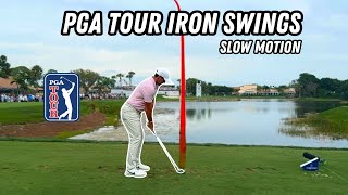 Slow Motion Golf Swings On The PGA Tour  2024 [upl. by Latona]