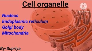 Cell organelle  Basic of Protein sorting  csirugc net life science  Dec 2024 [upl. by Bruns]