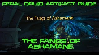 Quest 42430  The Fangs of Ashamane Feral Artifact Scenario [upl. by Maud160]