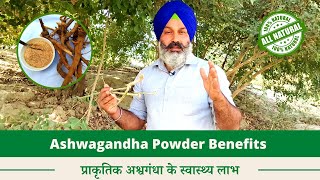 10 Amazing Benefits of Ashwagandha Powder  Natural Power Booster [upl. by Chancellor517]