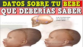 Datos sobre tu bebe que debes saber [upl. by Phyllis]