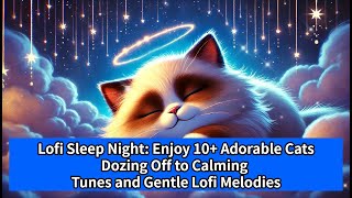 Lofi Sleep Night Enjoy 10 Adorable Cats Dozing Off to Calming Tunes and Gentle Lofi Melodies [upl. by Eugine214]