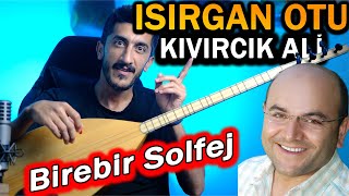 ISIRGA OTU SOLFEJ SAZ NOTALARI  KIVIRCIK ALİ Isırgan Otu Bağlama Solfej Dersi [upl. by Boylston]