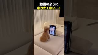 動画みたいになるもんか！！！海外の反応 海外のリアクション 外国人 おもしろ動画 爆笑動画 笑える バズった動画 癖が強い shorts ドッキリ [upl. by Lisette]