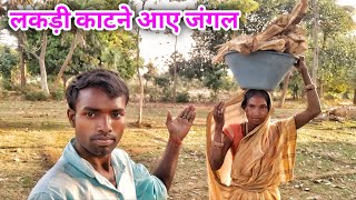 लकड़ी काटने आए जंगल  kishorshivanivlogs dailyvlogs [upl. by Fulks822]