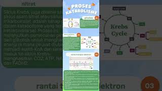 Tugas dasar dasar mikrobiologimetabolisme mikroorganisme katabolisme dan anabolisme [upl. by Melanie]