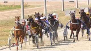 Trabrennen  Finale der VierjährigenSerie [upl. by Asirram]