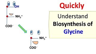 Glycine biosynthesis [upl. by Diandra]