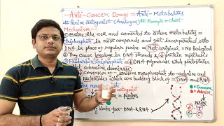 Anticancer Drugs Part08 Antimetabolites  Purine Analogue or Antagonist  Anti Cancer [upl. by Zebapda]