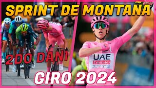 Resumen Etapa 8  Giro De Italia 2024  Pogacar sin RIVAL [upl. by Buroker]