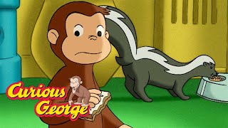 Dont scare the skunk 🐵 Curious George 🐵 Kids Cartoon 🐵 Kids Movies 🐵 Videos for Kids [upl. by Peggi]