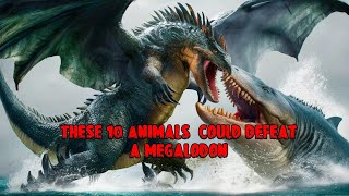 10 Animals that could defeat a megalodon [upl. by Pippy]