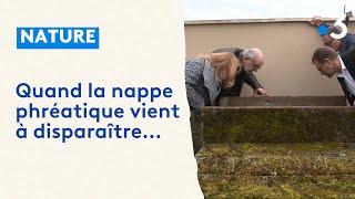 Quand la nappe phréatique vient à disparaître [upl. by Ecidna337]