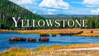 Yellowstone National Park 4K Ultra HD • Stunning Footage Scenic Relaxation Film with Calming Music [upl. by Olly]