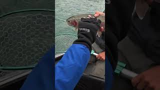 Fishing the Kenai River in Alaska [upl. by Opalina982]