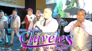 QUIEN ERES TU MIXDR  FELIZ 7mo ANIVERSARIO LOS CLAVELES DE LA CUMBIA 2016 EN 4K [upl. by Kalila]