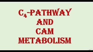 C4 Pathway and CAM Metabolism  HPU BSc 2nd Year [upl. by Aivin]