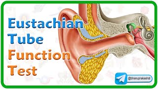 Eustachian Tube Function Tests Animation👂 ENT lectures MBBS 3rd year [upl. by Yrehcaz]